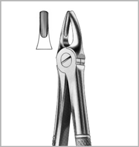 Upper Laterals and Canines