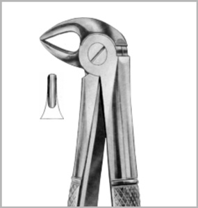 Lower Roots, For Childrens