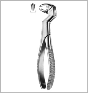 Lower Molars and Wisdoms, Left