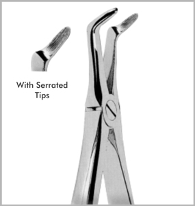 Trotter - Lower Roots