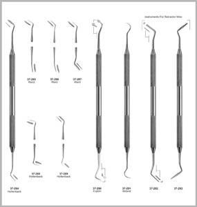 Ward Hollenback Small Amalgam Carver