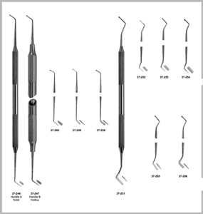 Plastic Filling Instruments with Burnisher