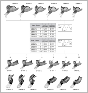 Perforated With Rim Lock Impression Trays