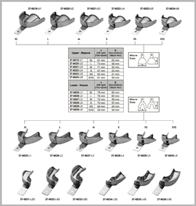 Solid With Rim Lock Impression Trays
