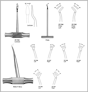 Lecluse / Potts / Walter F. Berry